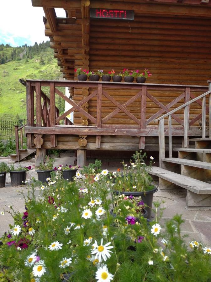 Hostel Shymbulak 알마티 외부 사진